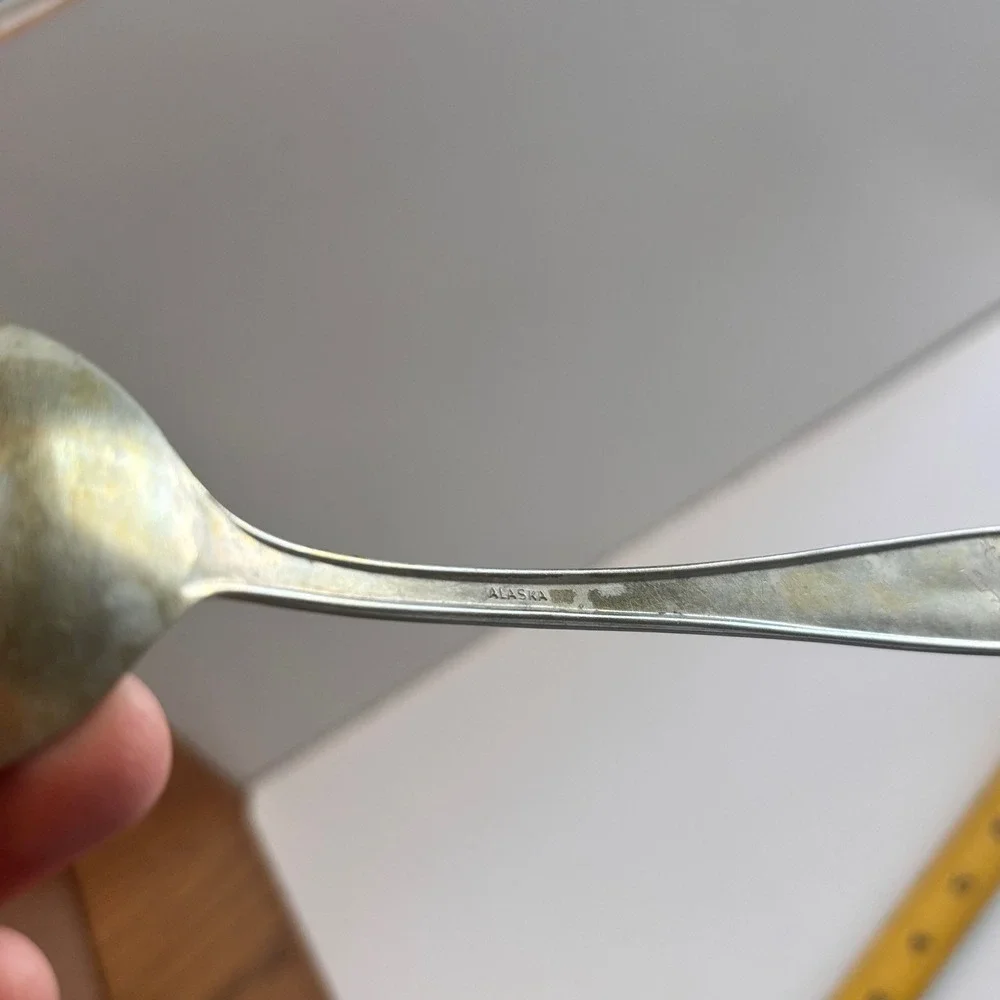 Alaska Silver Plated Spoon Vintage Etched Design Dining Utensil 8